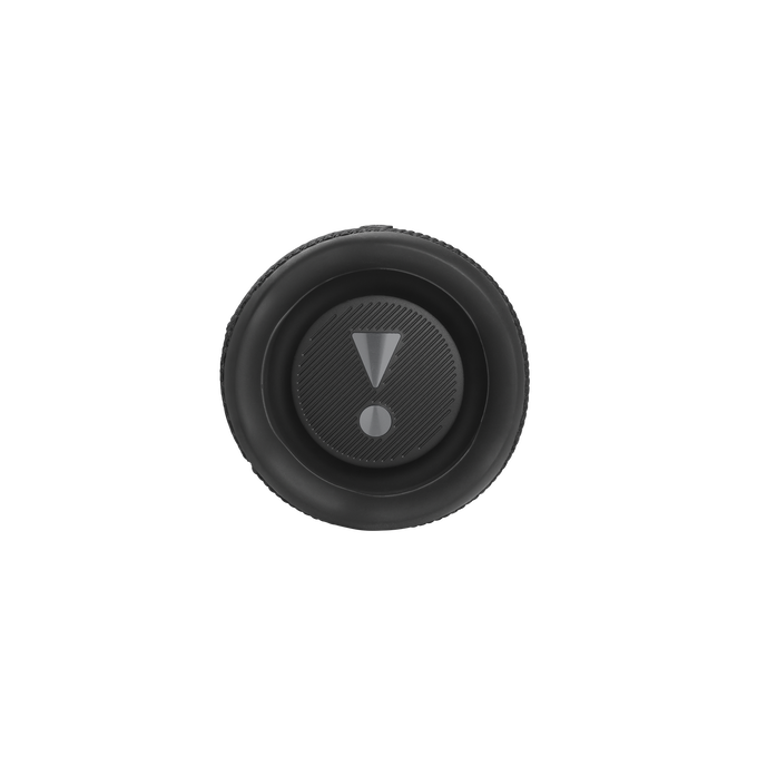 JBL Flip 6
